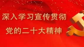  扎實推進全面從嚴治黨工作確保全年目標任務完美收官